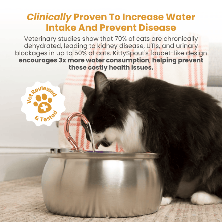 Catlyst - Health & Happiness Cat Kit