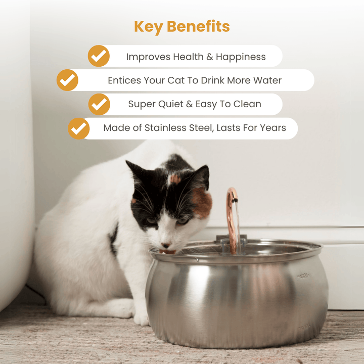 Catlyst - Health & Happiness Cat Kit