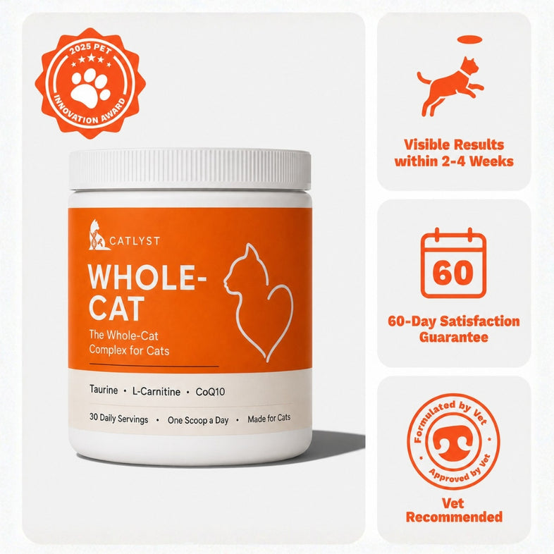 Catlyst Whole-Cat tub with daily scoop