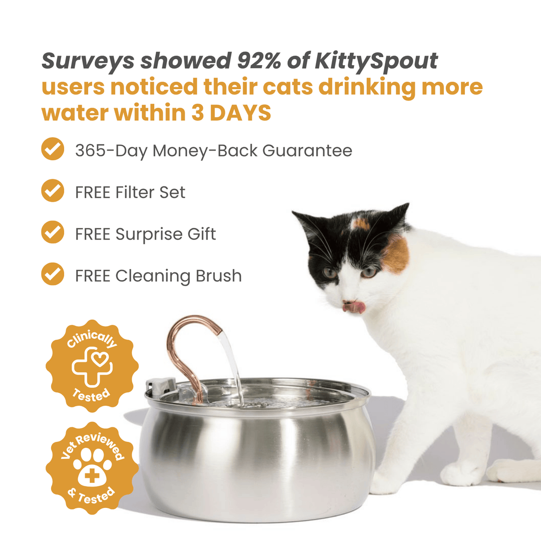 Catlyst - Health & Happiness Cat Kit