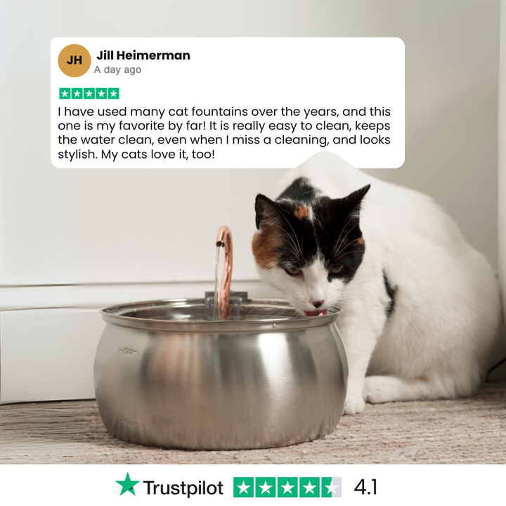 Catlyst - Health & Happiness Cat Kit