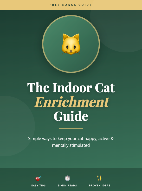 eBook: Indoor Cat Enrichment Guide