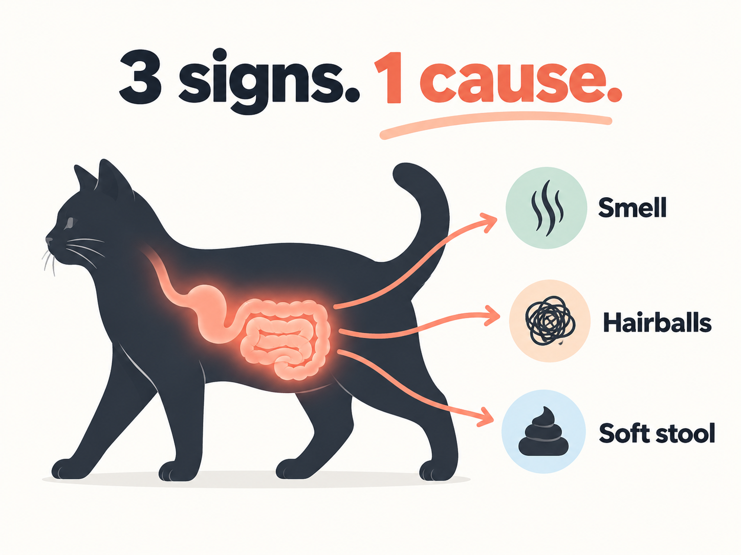 Catlyst Premium Cat Probiotic