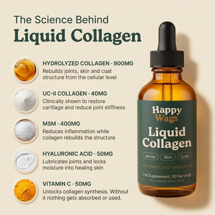 Catlyst Liquid Collagen For Cats