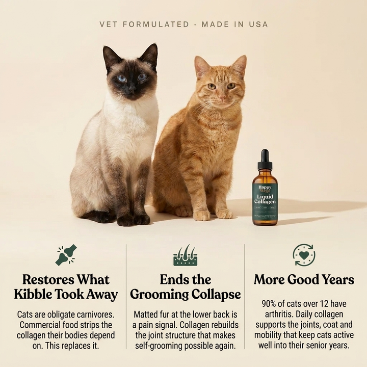 Catlyst Liquid Collagen For Cats