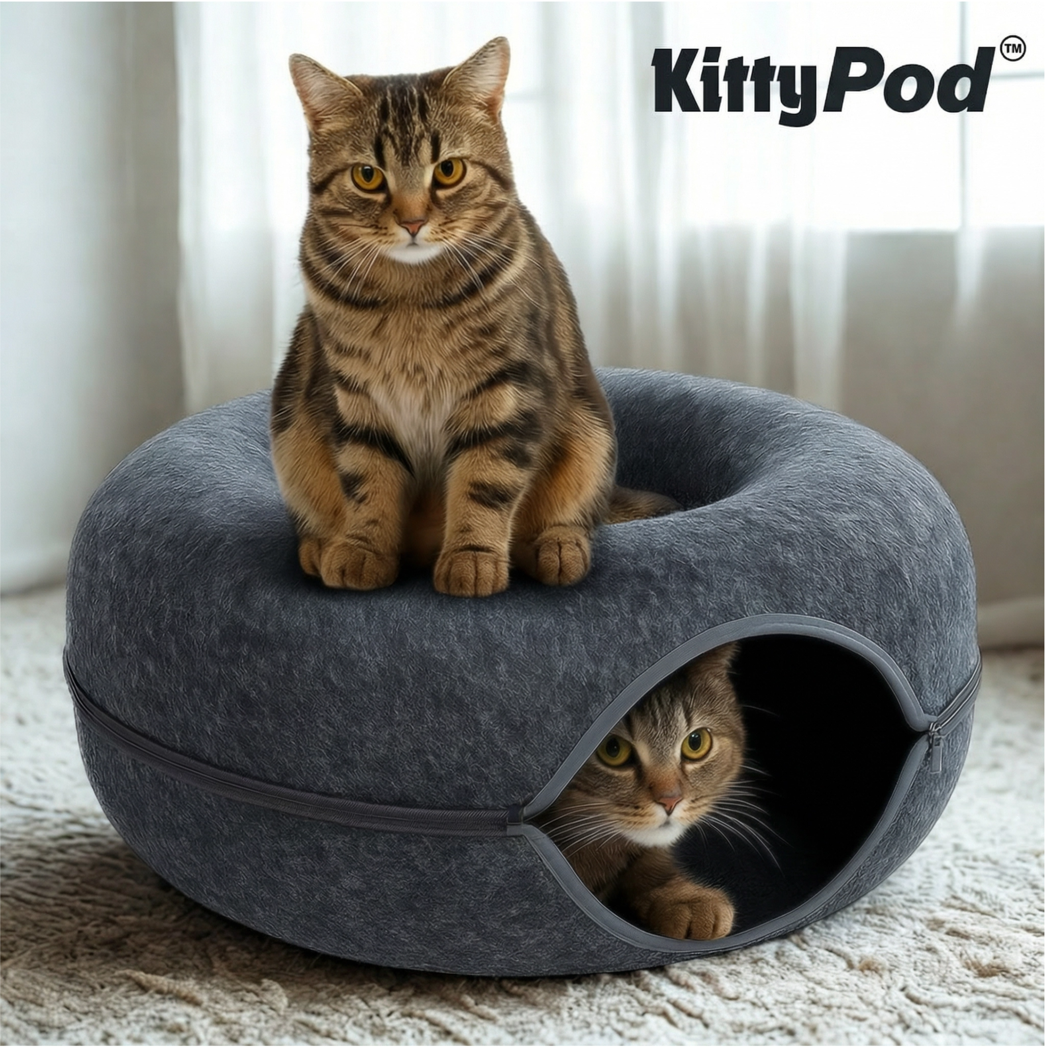 Kitty Pod™