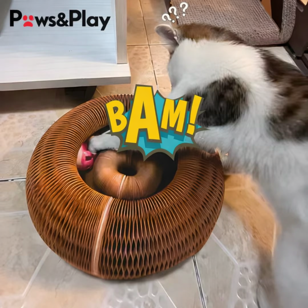 Play Paws Paws & Play Curlz – Catlyst